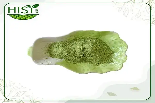Why Is Kale Powder the Ultimate Convenience for Busy Lifestyles?